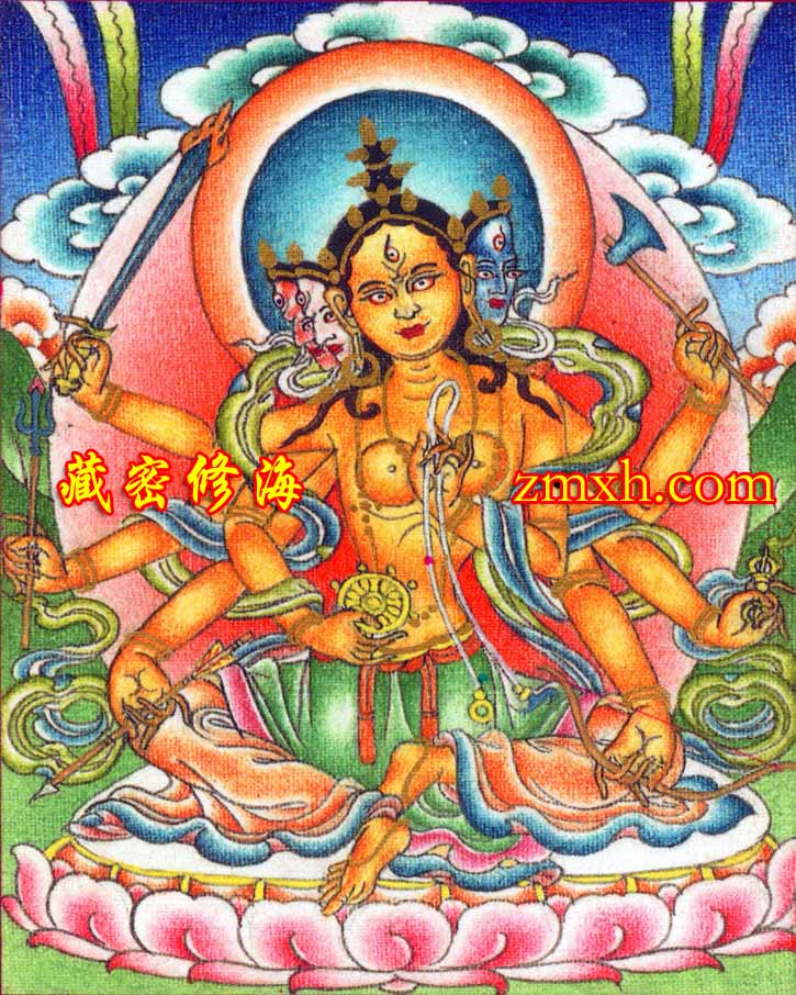 秘密喇嘛教大觀 藏密修海